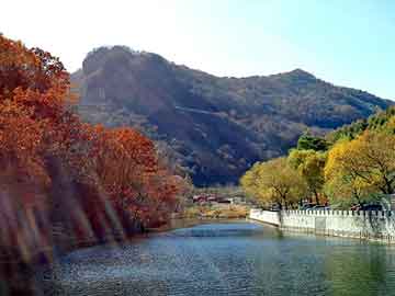 新澳天天开奖资料大全旅游团，装饰论坛